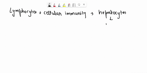 01p-which-of-the-following-cells-are-not-involved-in-cellular-immunity-lymphocytes-heuepanes-phagjcm-98556