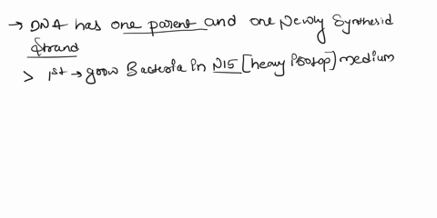 explain-how-meselson-and-stahl-proved-that-dna-replication-was-semi-conservative-with-refrence-to-the-diagram-below-explain-the-experiment-please-keep-your-answer-simple-4_-explain-how-mesel-14985