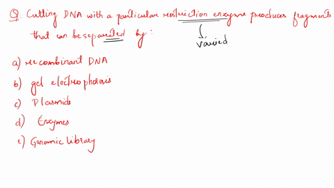 cutting-dna-with-a-particular-restriction-enzyme-produces-dna-fragments-that-can-be-separated-by-a-recombinant-dna-b-gel-electrophoresis-c-plasmids-d-enzymes-c-a-genomic-library-83522
