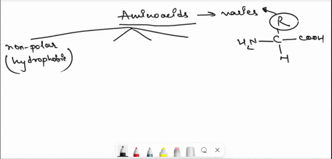 short-description-of-how-the-properties-of-amino-acid-side-chains-vary-and-describe-how-they-contribute-to-maintaining-the-structure-of-protiens-43978