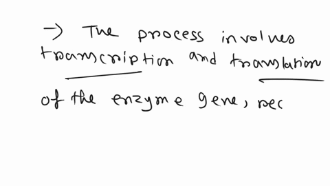ribosomes-in-the-cytoplasm-cytosol-capture-mrna-that-can-be-translated-into-an-enzyme-in-this-case-a-protease-to-the-lysosome-a-describe-what-happens-from-the-time-the-enzyme-protease-begins-92673
