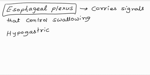 match-the-plexus-with-its-function-esophogeal-plexus-click-to-select-hypogastric-plexus-click-to-select-pulmonary-plexus-click-to-select-ahdominalaortic-nlexus-click-to-select-carries-signal-18514
