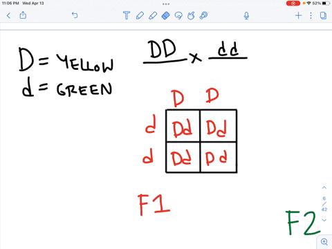 genetics-problems-b-instructions-students-will-need-to-show-all-work-including-writing-out-the-crosses-and-the-resulting-gametes-as-well-as-punnett-squares-the-final-responses-need-to-be-mar-59518