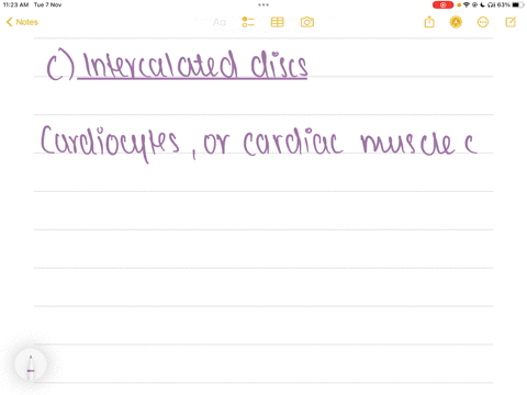 cardiocytes-are-connected-to-one-another-via-a-fibrous-skeleton-b-gap-junctions-c-intercalated-discs-d-vasa-vasorum-e-connective-tissue
