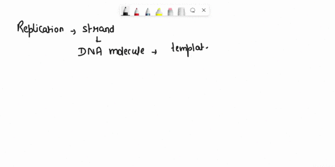 6-in-the-dna-segment-5atgacggtttactaagcc-3-coding-strand-3-tactgccaaatgattcgg-5-template-strand-what-products-would-be-formed-from-he-segments-replicalion-b-write-the-mrna-sequence-that-woul-63826