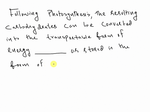 question-25-1-point-following-photosynthesis-the-resulting-carbohydrates-can-be-converted-into-the-transportable-form-of-energy-or-stored-in-the-form-of-atp-starch-starch-glucose-glucose-suc-08559