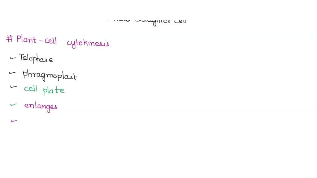 SOLVED True or False During cytokinesis, plant cells produce a cell plate, and animal cells