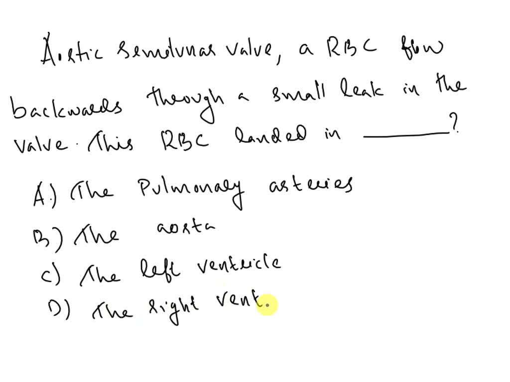 SOLVED 8. After passing through the aortic semilunar valve, a red