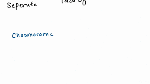 every-organism-has-two-alleles-for-each-gene-but-during-meiosis-these-two-alleles-separate-from-each-other-into-different-gametes-what-did-mendel-establish-this-as-law-of-independent-assortm-35524