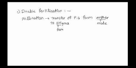 talle-lapioldd-ametophyte-diploid-sporophyte-diploid-double-fertilization-is-points-the-unique-t0-angiosperms-fucha-what-is-the-o-kac-mllen-446l-role-of-the-pollen-tube-in-this-pav-lpl-kh-zs-25153
