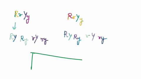 in-pea-plants-the-allele-for-round-seeds-is-dominant-to-the-allele-for-wrinkled-seeds-at-another-gene-locus-the-allele-for-yellow-seeds-is-dominant-to-the-allele-for-green-seeds-these-two-al-03102