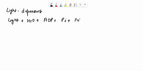 light-stroma-hza-co2-adp-pi-nadptinad-granum-atp-nadphinadh-outer-membrane-1-a-organics-inner-membrane-photosynthetic-membrane-light-dependent-reactions-coz-fixation-98073