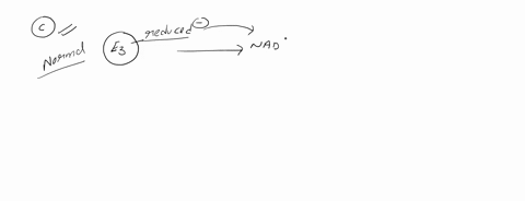 the-pyruvate-dehydrogenase-complex-is-inhibited-by-high-levels-of-nadh-what-is-the-best-explanation-for-this-regulation-step-a-none-of-these-are-accurate-statements-regarding-nadh-inhibition-64228