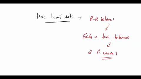 conclusions-precise-heart-rate-measuring-the-heart-rate-over-what-reflects-ihe-true-vs-the-concept-irom-one-r-a-interval-why-how-would-you-apply-this-30-second-period-or-calculating-informat-69737