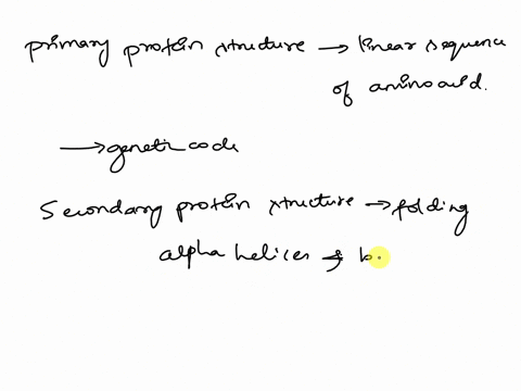 considering-primary-secondary-tertiary-and-quaternary-protein-structure-explain-what-these-levels-are-and-give-examples-of-the-kind-of-bonds-or-forces-that-maintain-each-level-of-structure-22298
