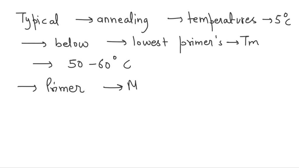SOLVED A PCR reaction is set up using primers with the Tm of 55Â°C (forward primer) and 58Â°C