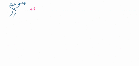 a-purine-on-one-strand-of-the-dna-is-always-paired-with-a-pyrimidine-on-the-other-strand-true-false-62877