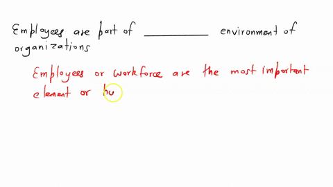 employees-are-part-of-the-__________-environment-of-organizations-31345
