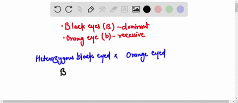 if-b-represents-the-allele-for-black-eyes-dominant-and-b-represents-the-allele-for-orange-eyes-recessive-what-would-be-the-genotypic-ratio-of-a-cross-between-a-heterozygous-black-eyed-mendal-58353