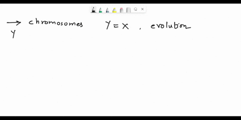 in-mammals-sex-is-determined-by-the-x-and-y-chromosomes-females-are-mathrmxx-males-are-mathrmxy-th-2-28692