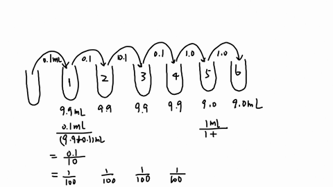 you-have-the-following-sample-of-ecoli-that-was-serially-diluted-01-01-01-01-10-10-sample-99ml-99ml-99ml-99ml-9oml-9oml-what-is-the-dilution-of-e-coli-in-tube-67-asking-what-is-the-dilution-93134