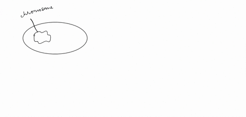 hfr-refers-to-a-cell-that-has-integrated-the-f-plasmid-into-its-genome-true-false-05465