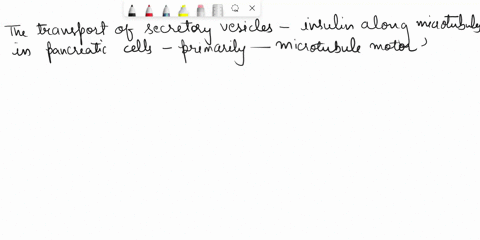 you-are-studying-the-transport-of-secretory-vesicles-containing-insulin-along-microtubules-in-cultur-42154
