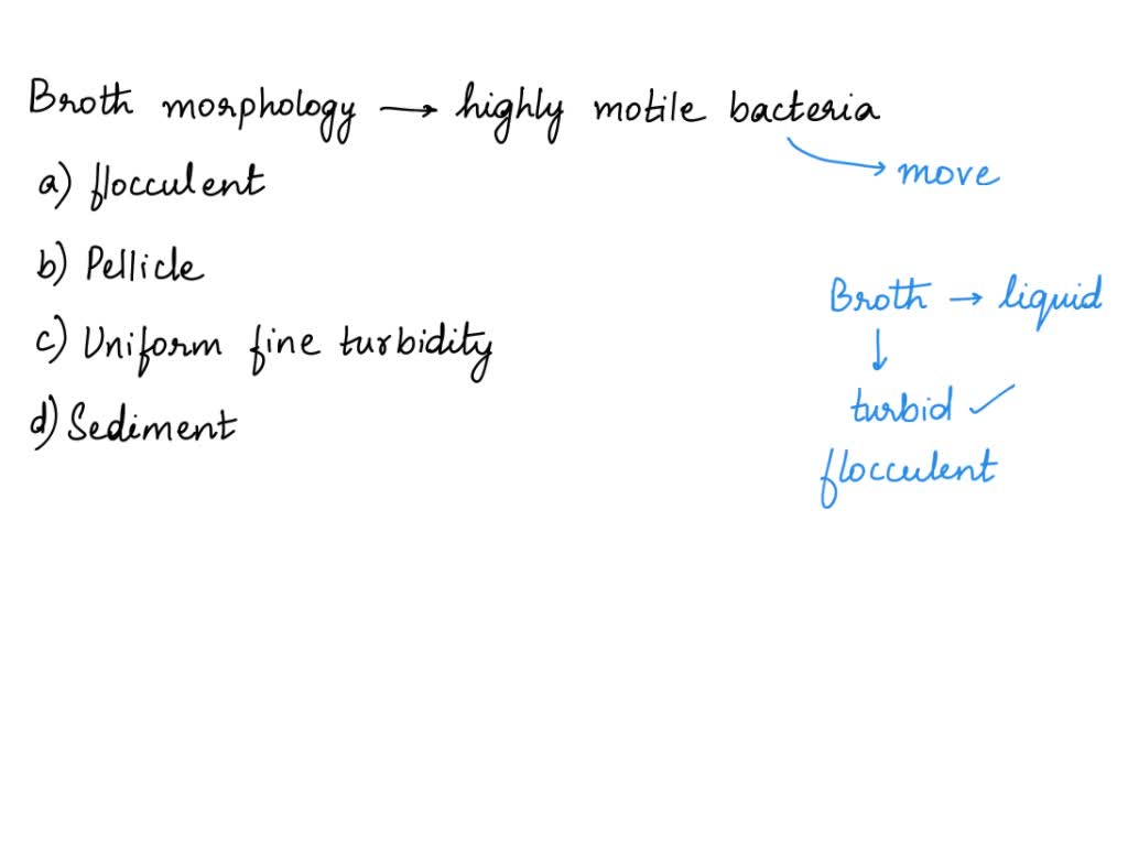 SOLVED: Question 3 5 pts What is the morphology of your unknown ...