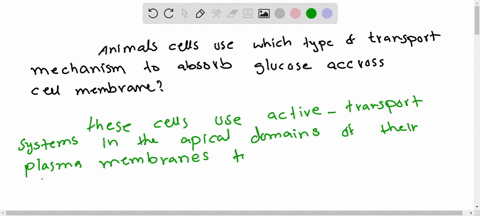 animal-cells-use-which-specific-type-of-transport-mechanism-to-absorb-glucose-across-their-cellplasma-membrane-32202