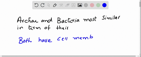 archaea-and-bacteria-are-most-similar-in-terms-of-their-______________-a-genetics-b-cell-wall-struct-90264