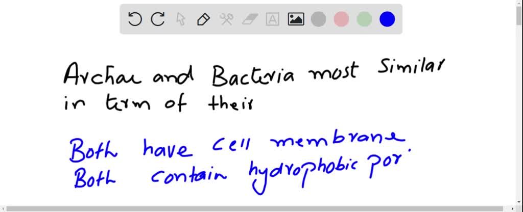 Archaea and Bacteria are most similar in terms of their . a 