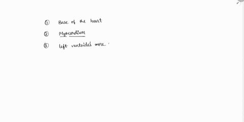 the-heart-1what-is-the-superior-broad-border-of-the-heart-called-2-what-is-the-muscular-layer-of-the-heart-wall-called-muocardium-3which-ventricle-is-more-muscular-leftventricle-4in-which-tw-42727