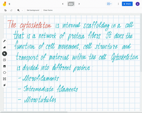 a-cell-part-responsible-for-maintaining-cell-shape-internal-organization-and-cell-movements-is-what