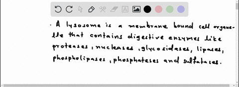 briefly-describe-the-lysosome-what-type-of-enzymes-does-the-lysosome-contain-and-what-are-they-responsible-for-why-is-it-an-important-organelle-within-the-cell-41413