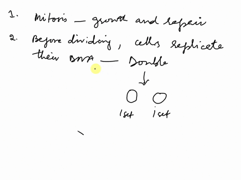 name-hw-8-mitosis-questions-why-do-organisms-need-cells-going-through-mitosis-what-does-the-cell-need-to-do-before-dividing-two-identical-copies-of-the-dna-containing-structures-are-held-tog-67476