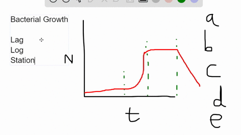 the-phase-of-the-bacterial-growth-curve-in-which-the-rate-of-cell-division-equals-the-rate-of-cell-death-is-the-multiple-choice-lag-phase-log-phase-death-phase-telophase-stationary-phase-55193