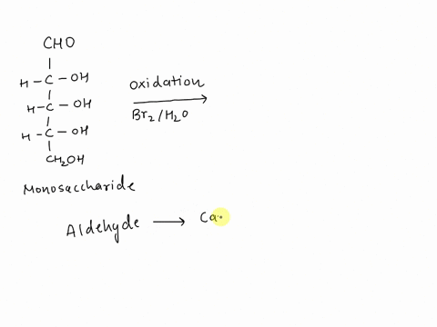 3-attempts-left-check-my-work-click-the-draw-structure-button-to-launch-the-drawing-utility-what-aldonic-acid-is-formed-by-oxidation-of-the-monosaccharide-cho-h-oh-oxidation-oh-h-h-oh-edit-s-54352