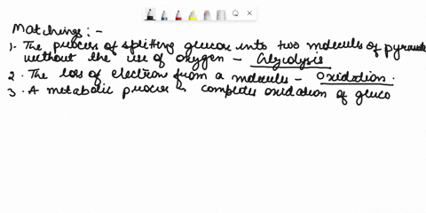 match-the-process-with-its-name-the-process-of-splitting-glucose-into-two-molecules-of-pyruvate-without-the-use-of-oxygen_-choose-the-loss-of-electrons-from-molecule_-oxidation-ametabolic-pr-89556