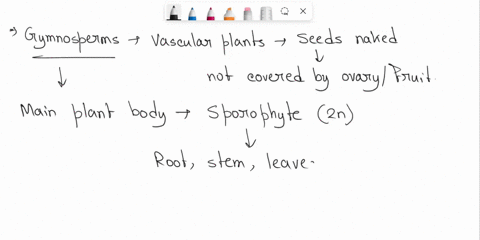 life-cycle-of-a-pinepart-awhat-is-the-main-plant-of-gymnosperms-part-b-what-structure-encases-the-fertilized-egg-cell-please-provide-citations-for-further-reading-67426