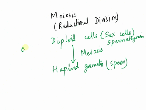the-diploid-cells-undergo-what-a-prodyce-haploid-gametes-97427
