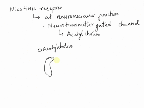 tne-nicotinic-receptor-at-the-neuromuscular-junction-consists-of-five-subunits-each-of-which-binds-a-transmitter-molecule-consists-of-a-single-subunit-which-forms-an-ion-channel-permeable-to-21594