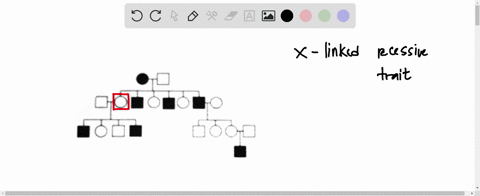 question-6-1-point-use-the-following-image-to-answer-the-question-this-pedigree-chart-shows-the-members-of-the-family-who-are-affected-by-an-x-linked-recessive-genetic-trait-what-is-the-geno-59483