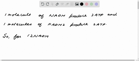 if-12-nadh-molecules-and-2-fadh2-molecules-were-produced-in-the-steps-previous-to-the-electron-transport-chain-how-many-atp-molecules-could-be-produced-in-the-etc-32-38-40-86692
