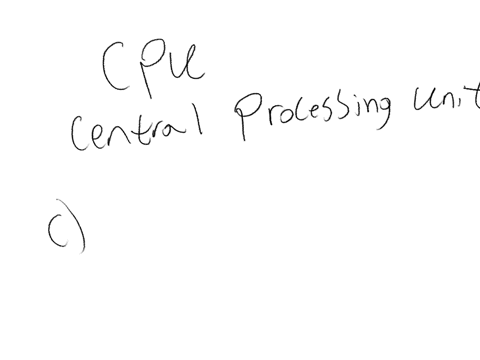 which-of-the-following-is-the-main-function-of-the-cpu-a-networking-b-storing-data-c-executing-instructions-d-input-and-output
