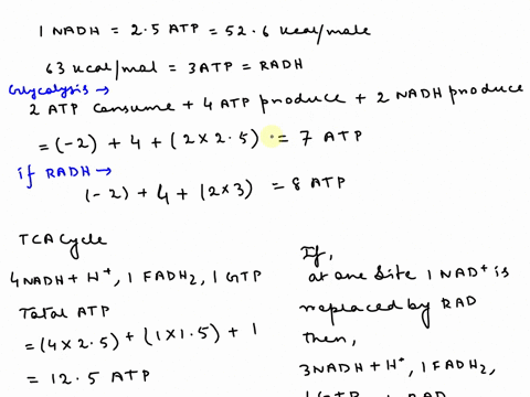 the-reduction-of-nad-to-nadh-has-a-free-energy-g-526-kcalmol-while-the-reduction-of-fad-to-fadh-has-a-g-43-kcalmol-imagine-that-an-organism-evolved-a-3rd-molecule-rad-and-that-the-reduction-19795
