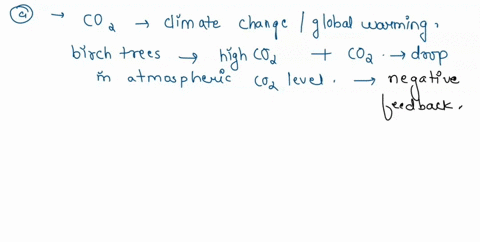 aos-1-12-pts-a-team-of-scientists-grew-groups-of-birch-trees-in-greenhouses-under-four-conditions-ns_-means-not-significant-the-top-graph-shows-total-photosynthesis-over-a-spring-and-summer-29624