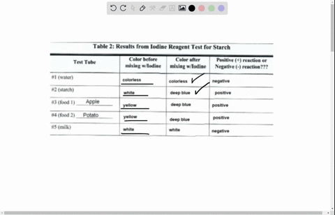 table-2-results-from-iodine-reagent-test-for-starch-color-before-mixing-wllodine-color-after-mixing-wlodine-positive-reactic-negative-reactic-test-tube-1-water-2-starch-3-food-1-4-food-2-5-m-48378