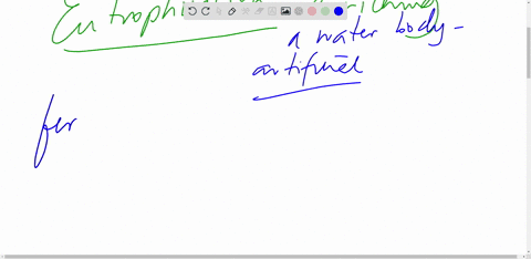 what-are-the-characteristics-of-a-typical-eutrophic-lake-77888