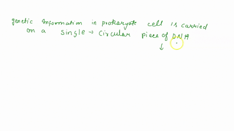 prokaryotic-cells-have-dna-enclosed-in-a-primitive-nucleus-group-of-answer-choices-true-false-86866