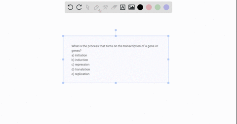 what-is-the-process-that-turns-on-the-transcription-of-a-gene-or-genes-a-initiation-b-induction-c-repression-d-translation-e-replication-02395